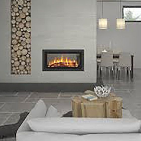 Canature Landscape P11 Double Sided Insert (Unit Only) wood burning fireplace